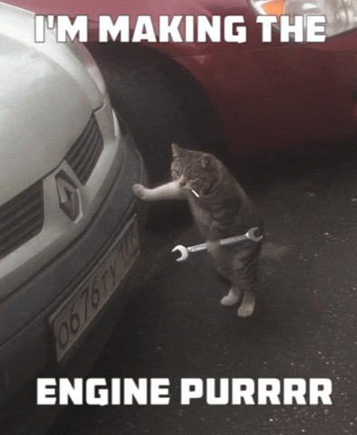 oil change near me